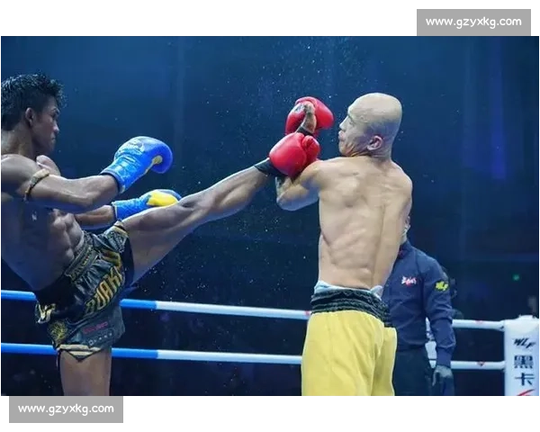 巅峰对决播求对阵一龙世界格斗焦点战全程直播解析看点前瞻与赛场背后故事