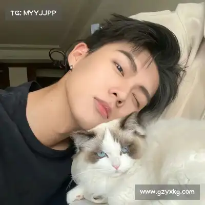 符弛照